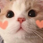 Avatar de Daniela Solís